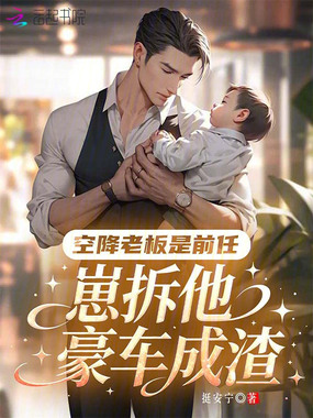 空降老板是前任，崽拆他豪车成渣在线阅读