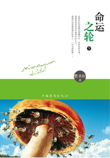 命運之輪（下）