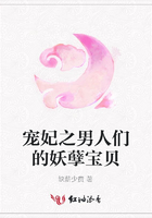 寵妃之男人們的妖孽寶貝在線閱讀