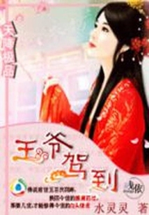 天降極品：王爺駕到