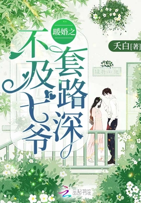 暖婚之不及七爷套路深在线阅读