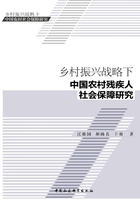 乡村振兴战略下中国农村残疾人社会保障研究