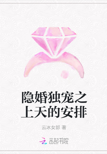 隐婚独宠之上天的安排