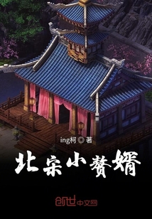 北宋小贅婿