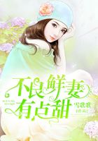 不良鲜妻有点甜