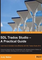 SDL Trados Studio – A Practical Guide在线阅读