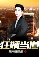 狂婿当道在线阅读