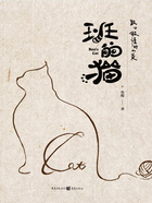 班的猫