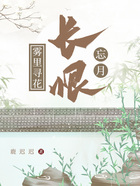 雾里寻花,长恨忘月在线阅读