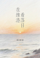 在维港看落日在线阅读