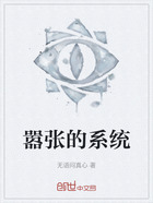 嚣张的系统在线阅读
