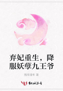 弃妃重生,降服妖孽九王爷