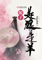 娘子是狼是羊在線閱讀