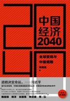 中国经济2040：全球变局与中国道路在线阅读