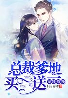 萌娃招领:总裁爹地买一送一