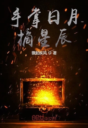 手掌日月摘星辰在线阅读