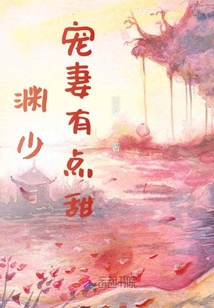 淵少寵妻有點甜