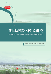 我国城镇化模式研究