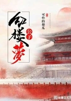 红楼梦公子