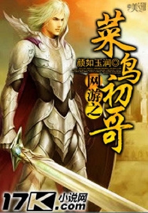 網游之菜鳥初哥