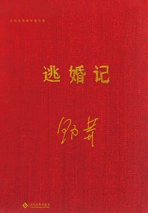 逃婚記