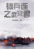 雄兵连之武安君在线阅读