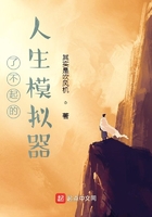 了不起的人生模擬器在線閱讀