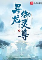 寻龙御灵尊