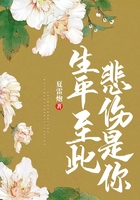 生平至此，悲傷是你在線閱讀