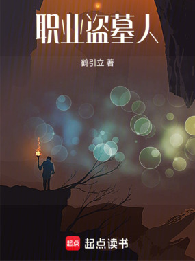 职业盗墓人在线阅读