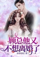 顾总他又不想离婚了在线阅读