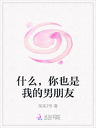 什么,你也是我的男朋友在线阅读