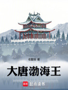大唐渤海王在线阅读