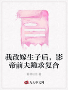 我改嫁生子后，影帝前夫跪求复合在线阅读
