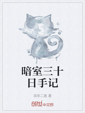 暗室三十日手记在线阅读