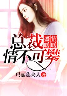 盛爱暖暖，总裁先生情不可攀