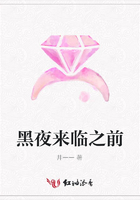 黑夜來(lái)臨之前在線閱讀