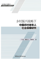 乡村振兴战略下中国农村老年人社会保障研究在线阅读