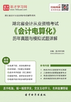 湖北省会计从业资格考试《会计电算化》历年真题与模拟试题详解在线阅读