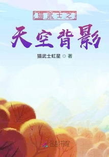 貓武士之天空背影