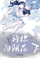 許你向陽花開在線閱讀
