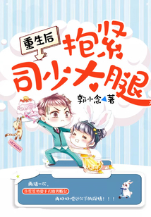 重生后抱緊司少大腿