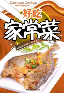 好吃家常菜