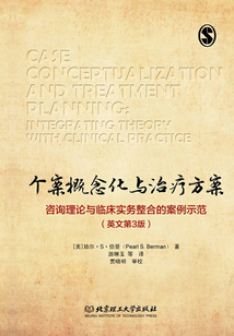 个案概念化与治疗方案