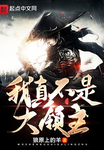 我真不是大領主