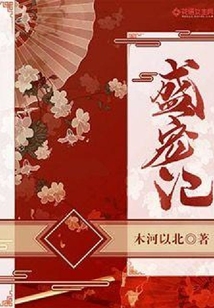 盛寵記