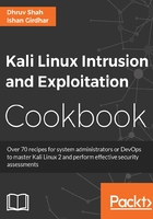 Kali Linux Intrusion and Exploitation Cookbook在线阅读