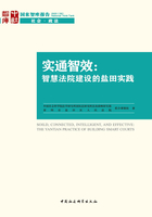 实通智效：智慧法院建设的盐田实践在线阅读