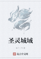 圣灵城域