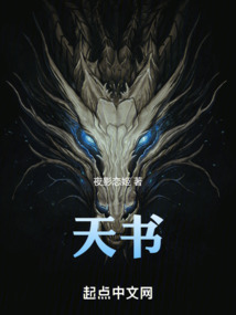天书 cover